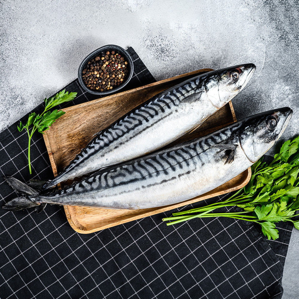 Asian Inspired Mackerel